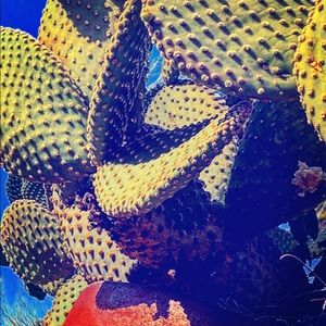 Meet your Posher, C. S.